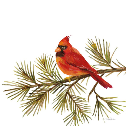 Cardinal Christmas V on White by Silvia Vassileva. SKU 68924a. Archival Giclee Fine art print for wall decor.