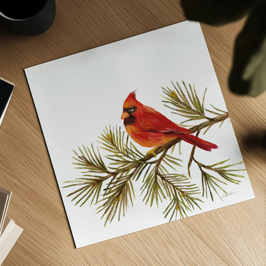 Cardinal Christmas V on White by Silvia Vassileva. Shown as a detailed flat fine art print, highlighting archival giclee quality. Available as an archival giclee rolled canvas, fine art paper, or poster print. SKU 68924a.