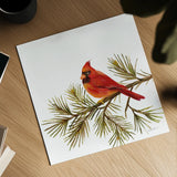Cardinal Christmas V on White by Silvia Vassileva. Shown as a detailed flat fine art print, highlighting archival giclee quality. Available as an archival giclee rolled canvas, fine art paper, or poster print. SKU 68924a.