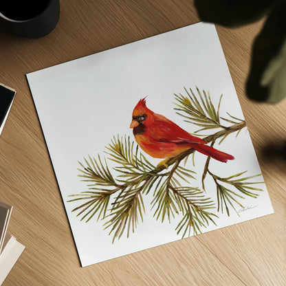 Cardinal Christmas V on White by Silvia Vassileva. Shown as a detailed flat fine art print, highlighting archival giclee quality. Available as an archival giclee rolled canvas, fine art paper, or poster print. SKU 68924a.