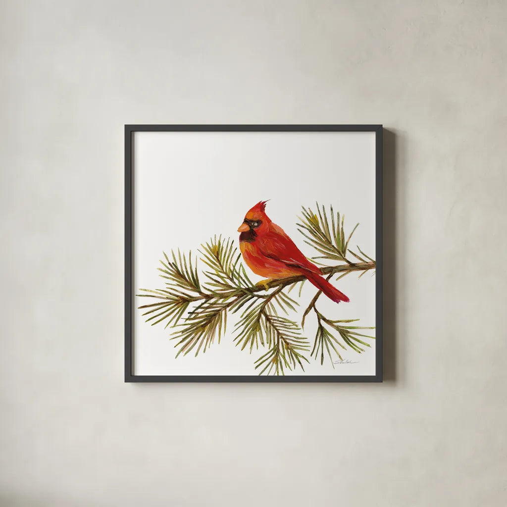 Cardinal Christmas V on White by Silvia Vassileva. Shown in a sleek black glass frame for a contemporary gallery look. Available as an archival giclee rolled canvas, fine art paper, or poster print. SKU 68924a.