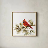 Cardinal Christmas V on White by Silvia Vassileva. Shown in a natural wood glass frame for a timeless modern aesthetic. Available as an archival giclee rolled canvas, fine art paper, or poster print. SKU 68924a.
