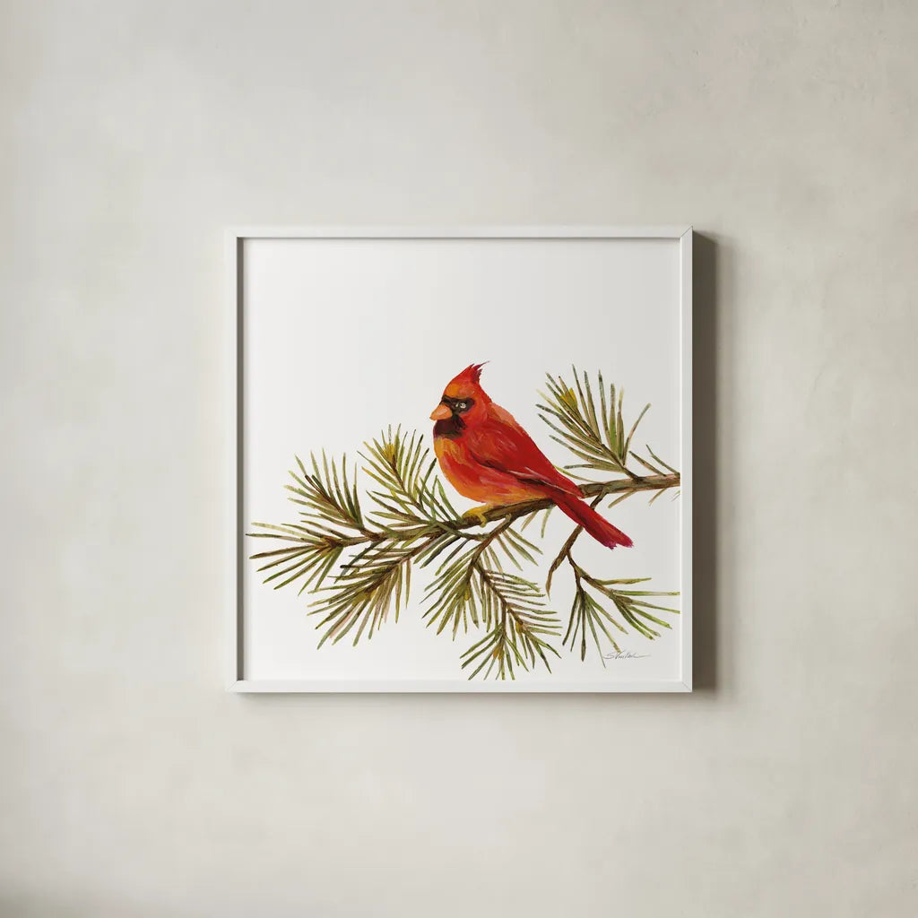 Cardinal Christmas V on White by Silvia Vassileva. Shown in a crisp white glass frame for a clean and minimalist style. Available as an archival giclee rolled canvas, fine art paper, or poster print. SKU 68924a.