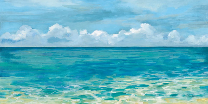 Caribbean Sea Reflections by Silvia Vassileva