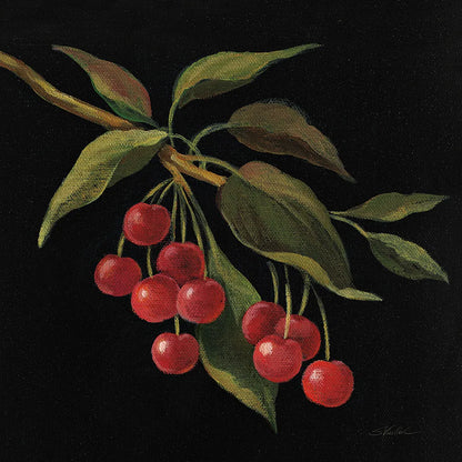 Cerise no Words by Silvia Vassileva. SKU 29208a. Archival Giclee Fine art print for wall decor.