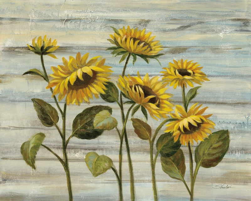 Cottage Sunflowers by Silvia Vassileva