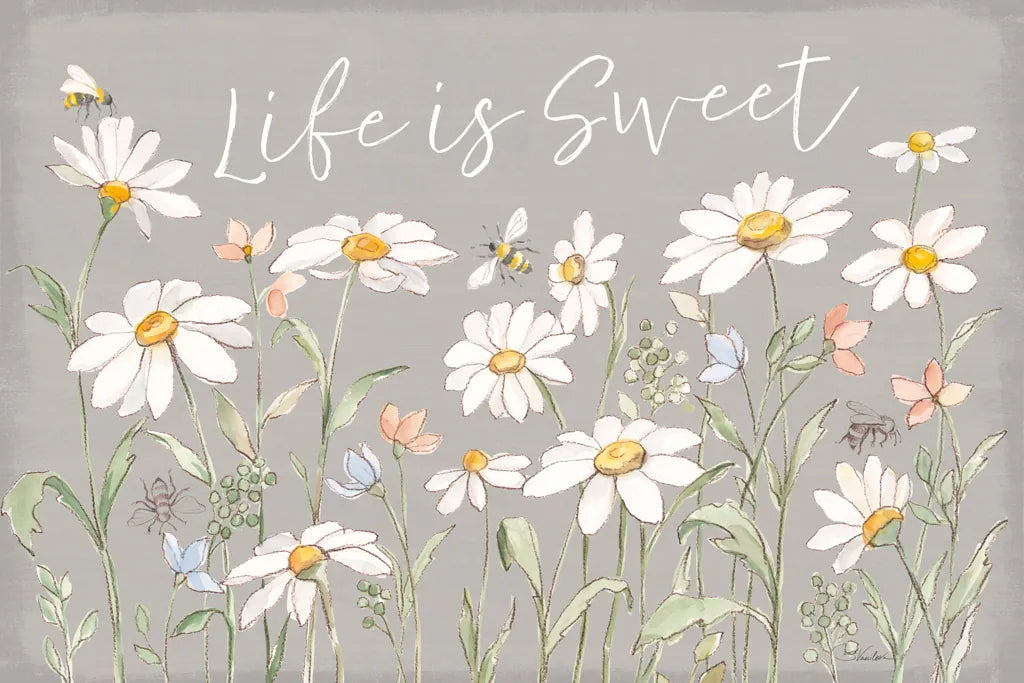 Daisy Field IV by Silvia Vassileva. SKU 81145i. Archival Giclee Fine art print for wall decor.