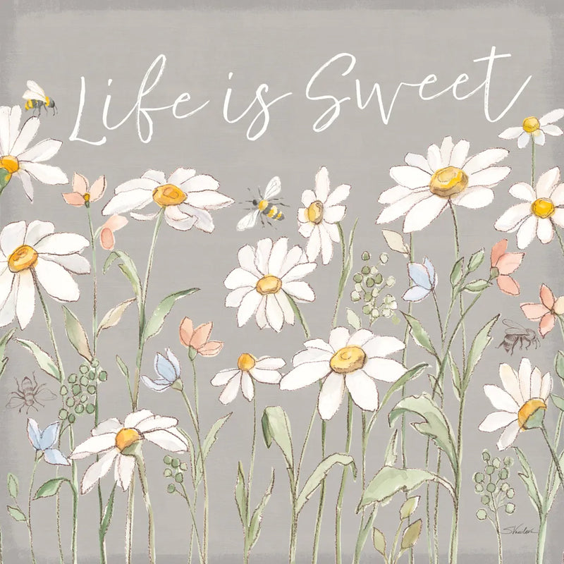 Daisy Field IV Sq by Silvia Vassileva. SKU 83301a. Archival Giclee Fine art print for wall decor.