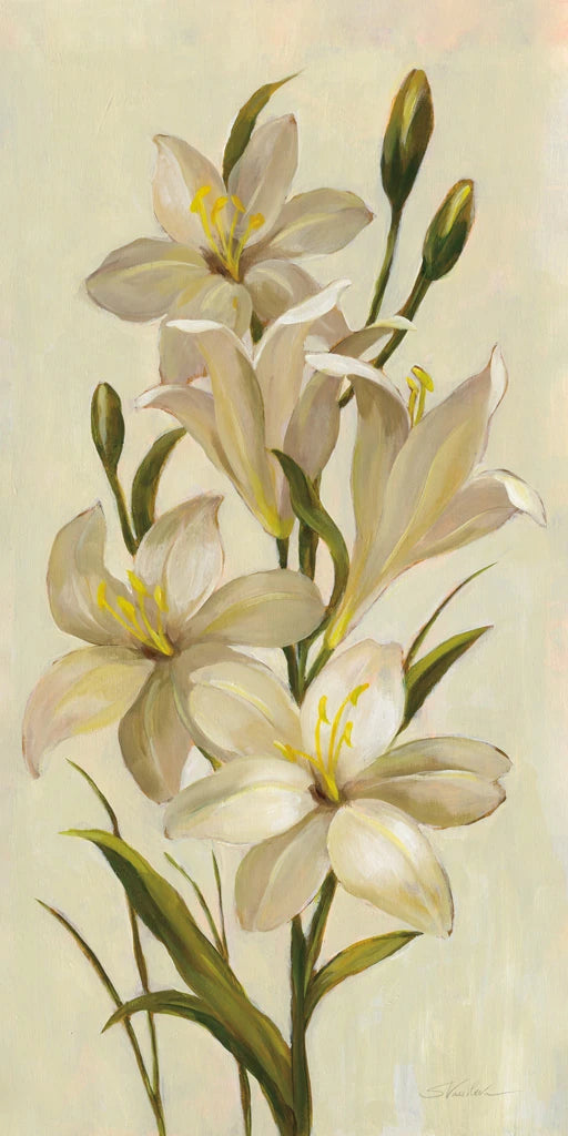 Elegant White Florals I by Silvia Vassileva