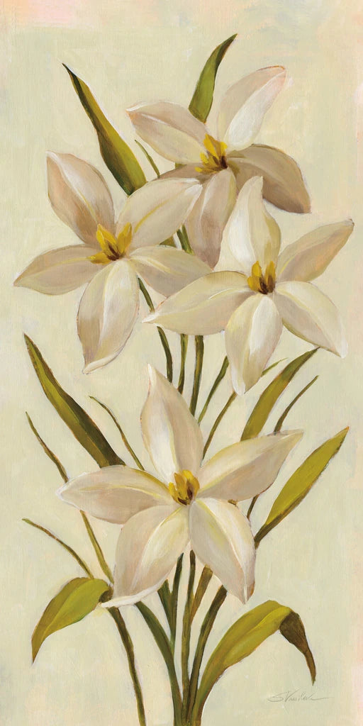 Elegant White Florals II by Silvia Vassileva