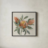 Field Bloom I Warm by Silvia Vassileva. Shown in a sleek black glass frame for a contemporary gallery look. Available as an archival giclee rolled canvas, fine art paper, or poster print. SKU 80067a.