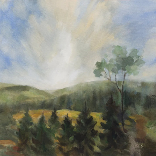 Forest at Sunrise by Silvia Vassileva. SKU 99706a. Archival Giclee Fine art print for wall decor.