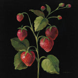 Fraise no Words by Silvia Vassileva. SKU 29205a. Archival Giclee Fine art print for wall decor.