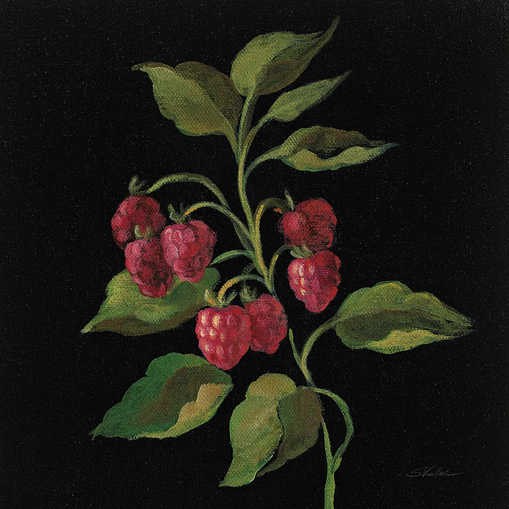 Framboise no Words by Silvia Vassileva. SKU 29207a. Archival Giclee Fine art print for wall decor.