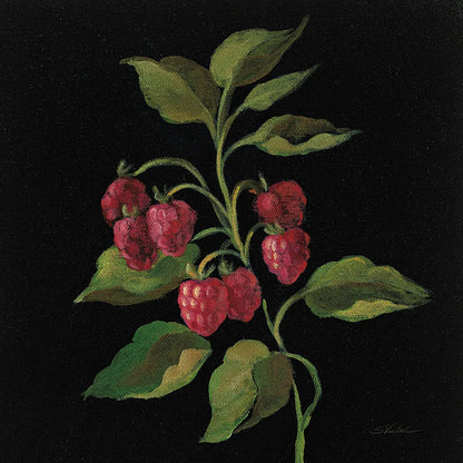 Framboise no Words by Silvia Vassileva. SKU 29207a. Archival Giclee Fine art print for wall decor.
