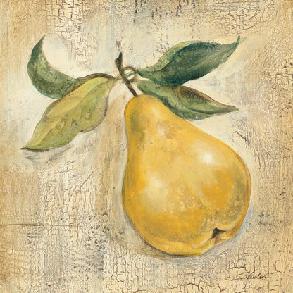 French Pear by Silvia Vassileva. SKU 75552a. Archival Giclee Fine art print for wall decor.