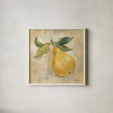 French Pear by Silvia Vassileva. Shown in a crisp white glass frame for a clean and minimalist style. Available as an archival giclee rolled canvas, fine art paper, or poster print. SKU 75552a.