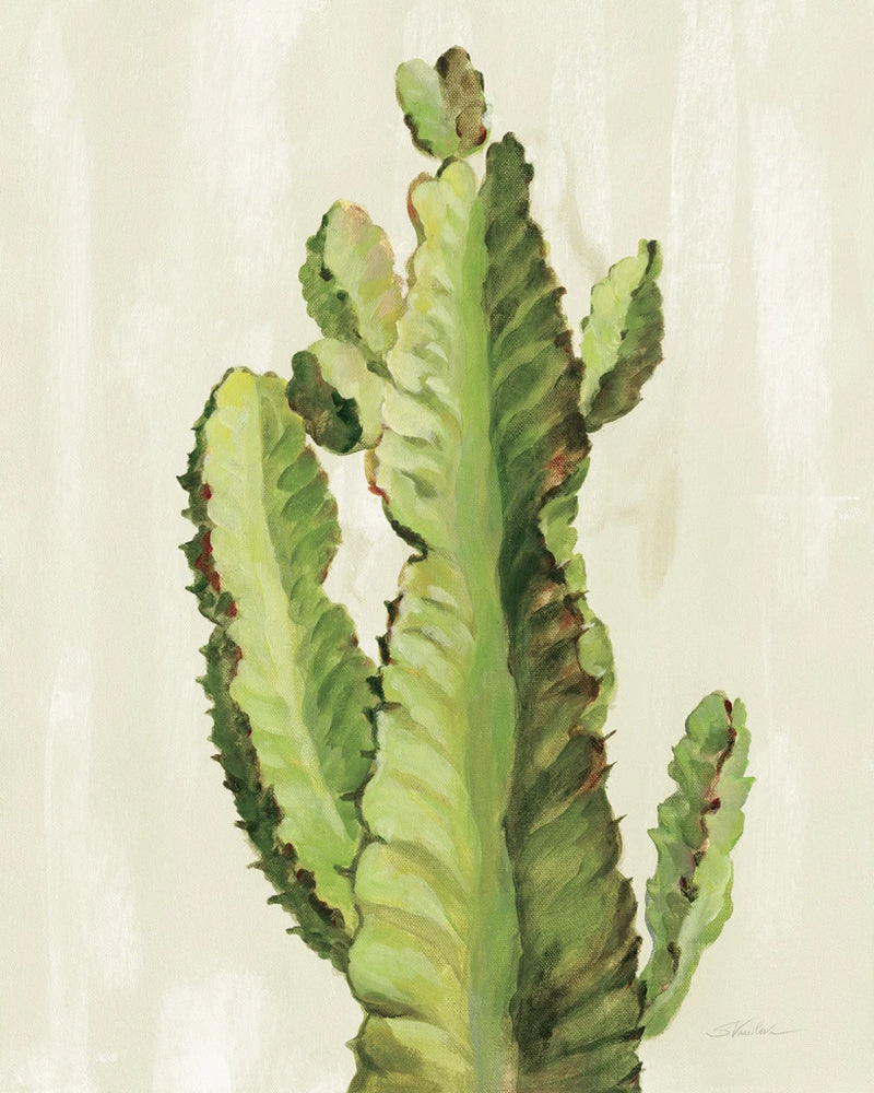 Front Yard Cactus II by Silvia Vassileva