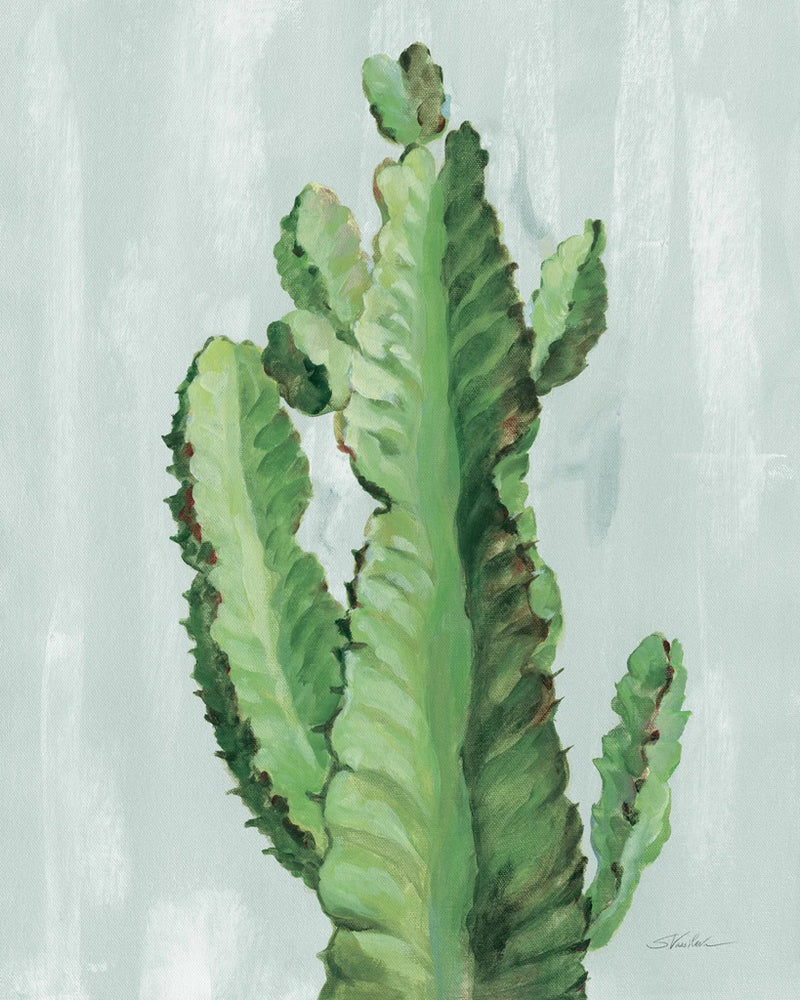 Front Yard Cactus II Slate by Silvia Vassileva