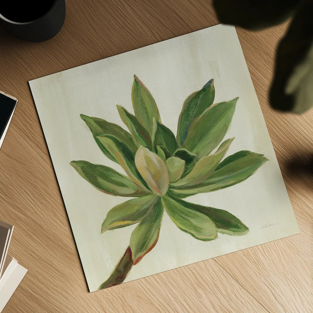 Front Yard Succulent I by Silvia Vassileva. Shown as a detailed flat fine art print, highlighting archival giclee quality. Available as an archival giclee rolled canvas, fine art paper, or poster print. SKU 47316a.