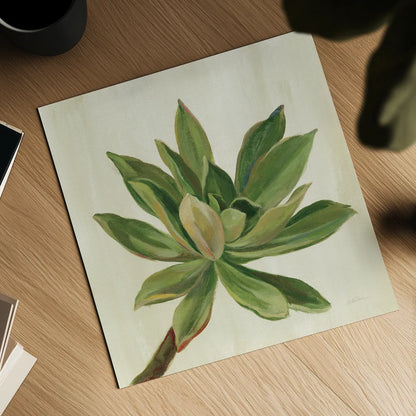 Front Yard Succulent I by Silvia Vassileva. Shown as a detailed flat fine art print, highlighting archival giclee quality. Available as an archival giclee rolled canvas, fine art paper, or poster print. SKU 47316a.