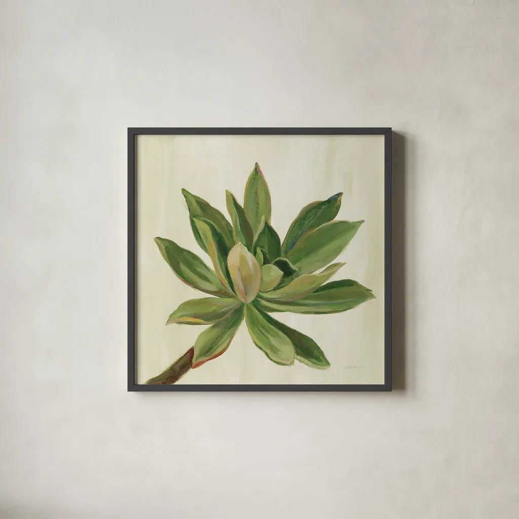 Front Yard Succulent I by Silvia Vassileva. Shown in a sleek black glass frame for a contemporary gallery look. Available as an archival giclee rolled canvas, fine art paper, or poster print. SKU 47316a.
