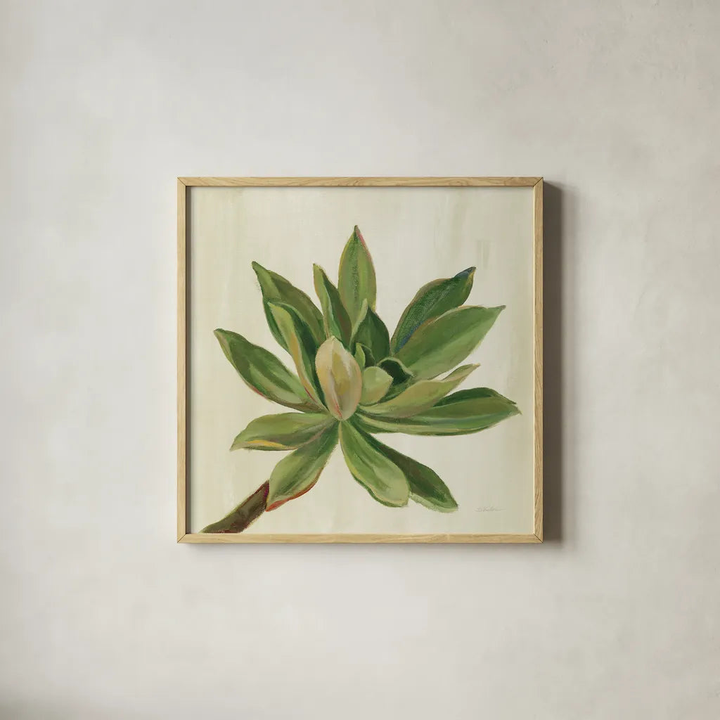 Front Yard Succulent I by Silvia Vassileva. Shown in a natural wood glass frame for a timeless modern aesthetic. Available as an archival giclee rolled canvas, fine art paper, or poster print. SKU 47316a.