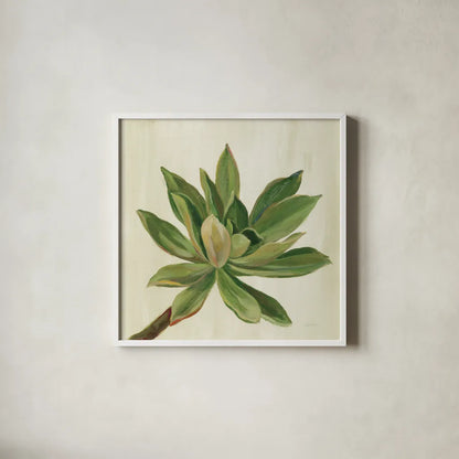 Front Yard Succulent I by Silvia Vassileva. Shown in a crisp white glass frame for a clean and minimalist style. Available as an archival giclee rolled canvas, fine art paper, or poster print. SKU 47316a.