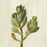 Front Yard Succulent II by Silvia Vassileva. SKU 47317a. Archival Giclee Fine art print for wall decor.