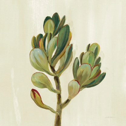 Front Yard Succulent II by Silvia Vassileva. SKU 47317a. Archival Giclee Fine art print for wall decor.