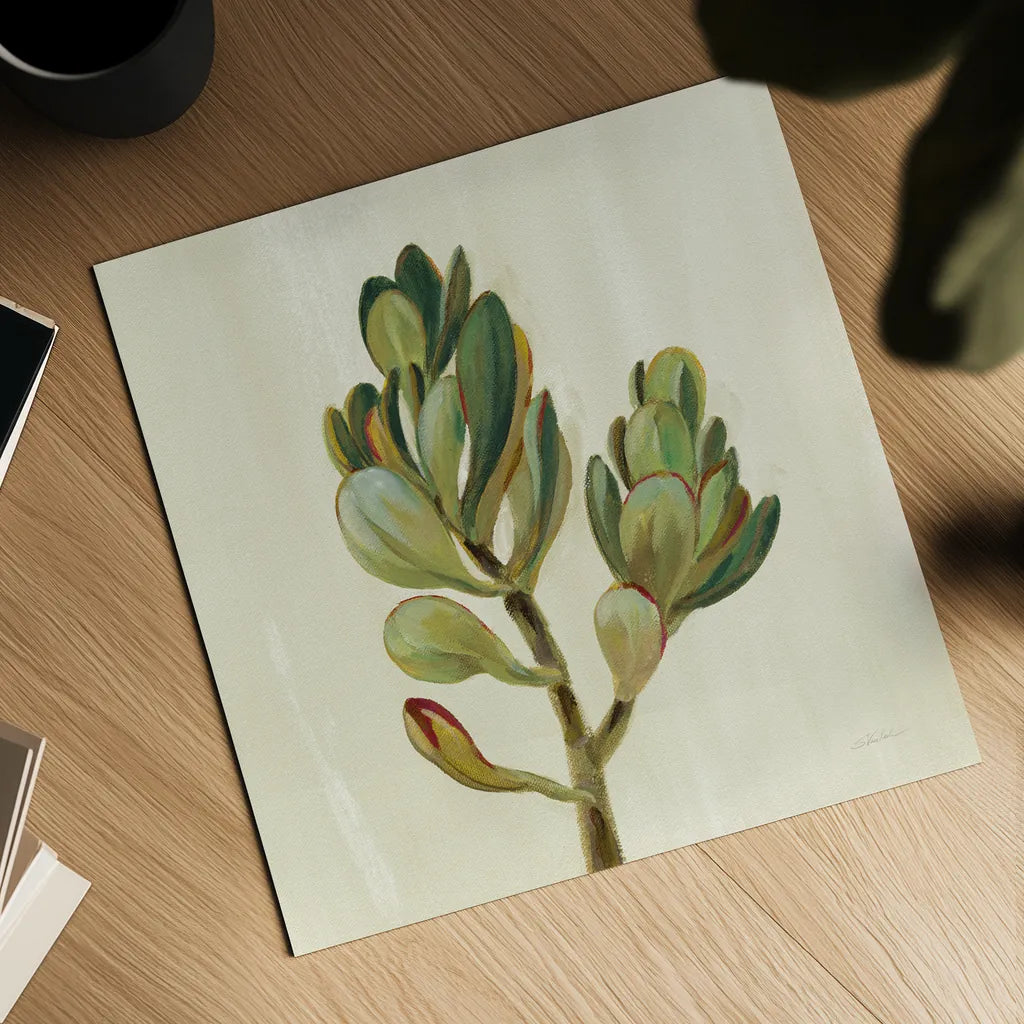 Front Yard Succulent II by Silvia Vassileva. Shown as a detailed flat fine art print, highlighting archival giclee quality. Available as an archival giclee rolled canvas, fine art paper, or poster print. SKU 47317a.