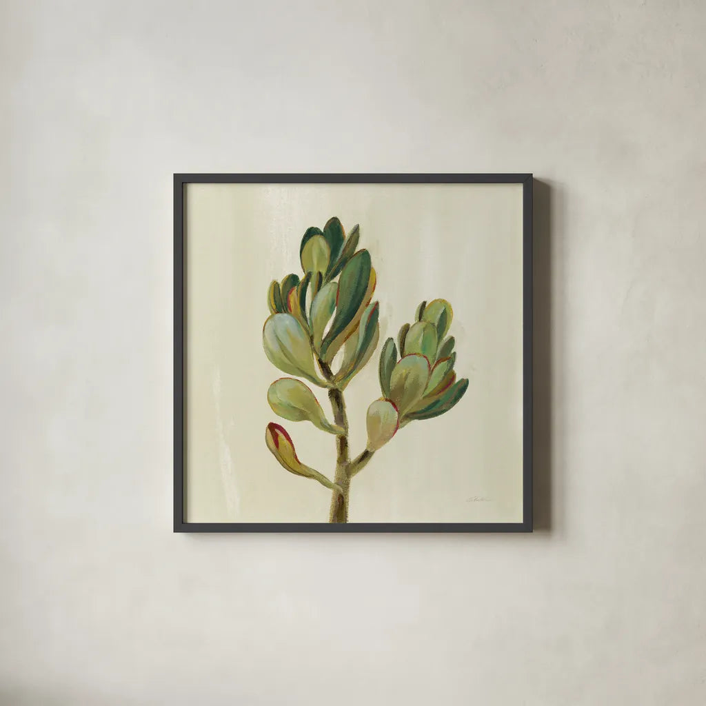 Front Yard Succulent II by Silvia Vassileva. Shown in a sleek black glass frame for a contemporary gallery look. Available as an archival giclee rolled canvas, fine art paper, or poster print. SKU 47317a.
