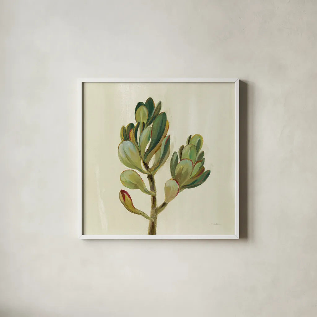 Front Yard Succulent II by Silvia Vassileva. Shown in a crisp white glass frame for a clean and minimalist style. Available as an archival giclee rolled canvas, fine art paper, or poster print. SKU 47317a.