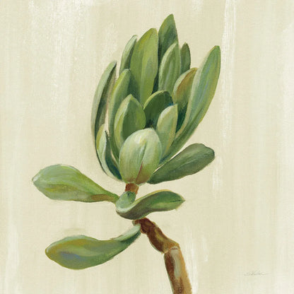 Front Yard Succulent III by Silvia Vassileva. SKU 47318a. Archival Giclee Fine art print for wall decor.