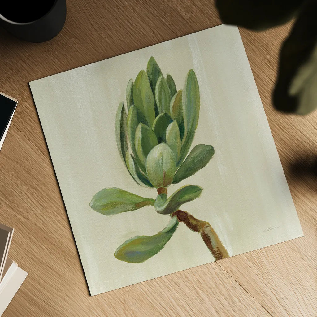 Front Yard Succulent III by Silvia Vassileva. Shown as a detailed flat fine art print, highlighting archival giclee quality. Available as an archival giclee rolled canvas, fine art paper, or poster print. SKU 47318a.