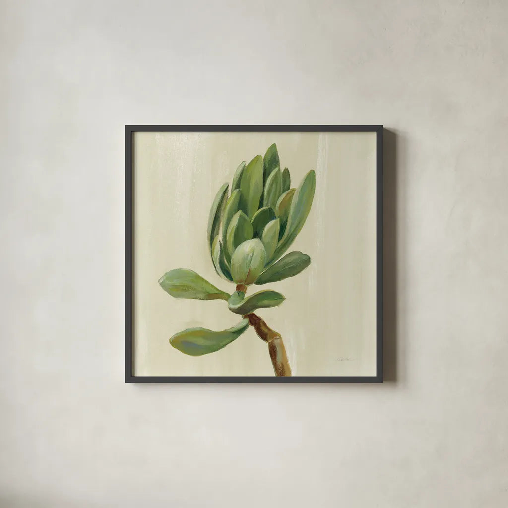 Front Yard Succulent III by Silvia Vassileva. Shown in a sleek black glass frame for a contemporary gallery look. Available as an archival giclee rolled canvas, fine art paper, or poster print. SKU 47318a.
