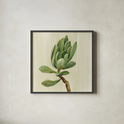 Front Yard Succulent III by Silvia Vassileva. Shown in a sleek black glass frame for a contemporary gallery look. Available as an archival giclee rolled canvas, fine art paper, or poster print. SKU 47318a.