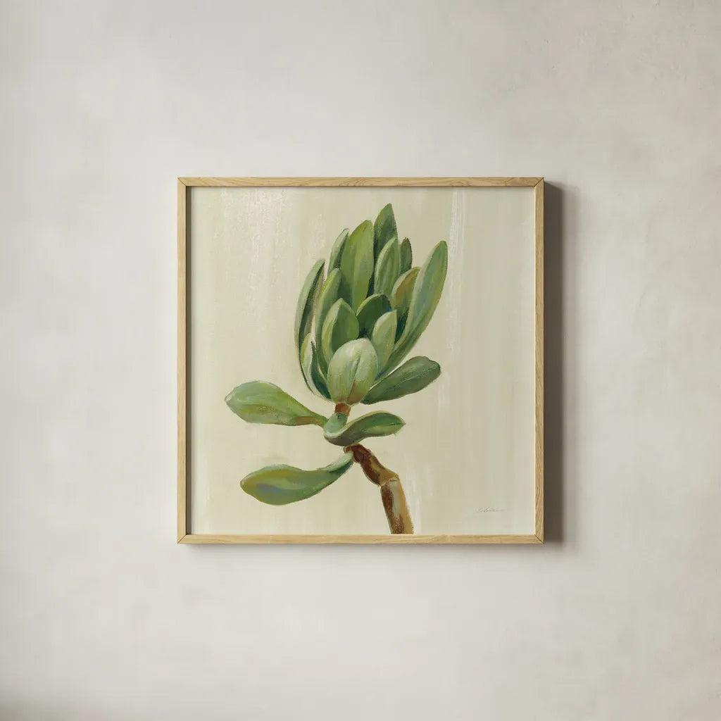 Front Yard Succulent III by Silvia Vassileva. Shown in a natural wood glass frame for a timeless modern aesthetic. Available as an archival giclee rolled canvas, fine art paper, or poster print. SKU 47318a.
