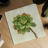 Front Yard Succulent IV by Silvia Vassileva. Shown as a detailed flat fine art print, highlighting archival giclee quality. Available as an archival giclee rolled canvas, fine art paper, or poster print. SKU 47319a.