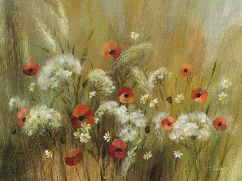 Hidden Meadow by Silvia Vassileva
