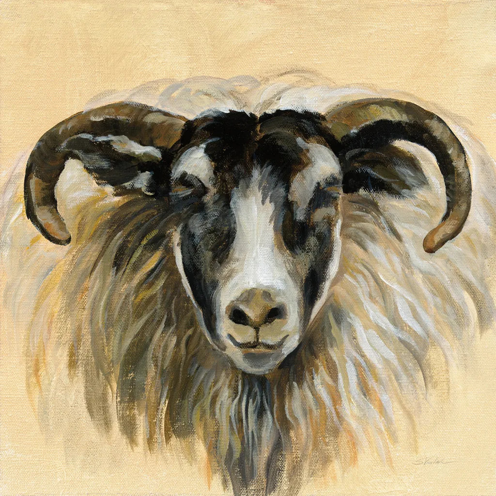 Highland Animal Ram by Silvia Vassileva. SKU 55085a. Archival Giclee Fine art print for wall decor.