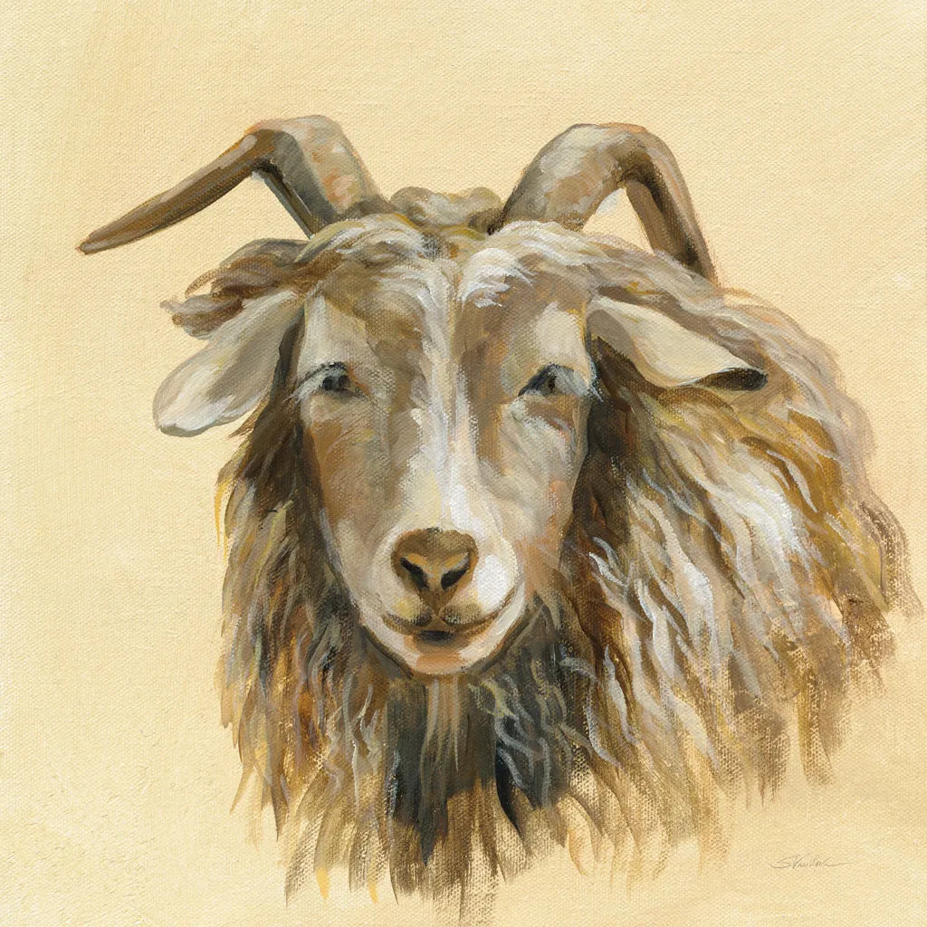 Highland Animal Sheep by Silvia Vassileva. SKU 55084a. Archival Giclee Fine art print for wall decor.