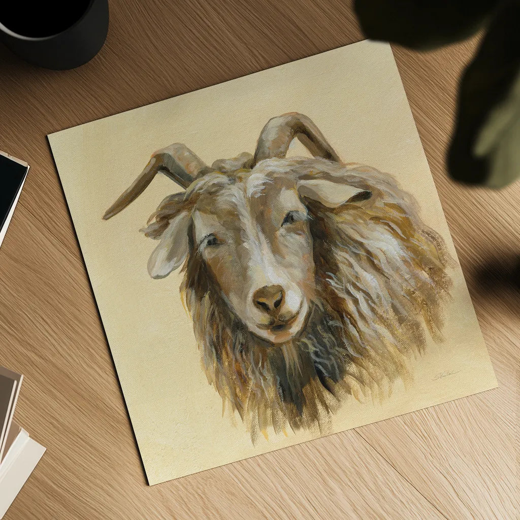 Highland Animal Sheep by Silvia Vassileva. Shown as a detailed flat fine art print, highlighting archival giclee quality. Available as an archival giclee rolled canvas, fine art paper, or poster print. SKU 55084a.