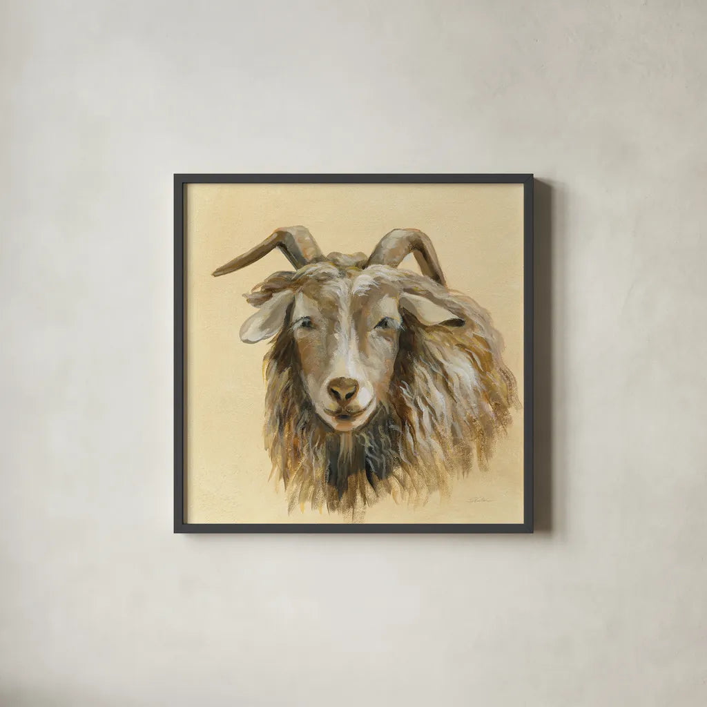 Highland Animal Sheep by Silvia Vassileva. Shown in a sleek black glass frame for a contemporary gallery look. Available as an archival giclee rolled canvas, fine art paper, or poster print. SKU 55084a.