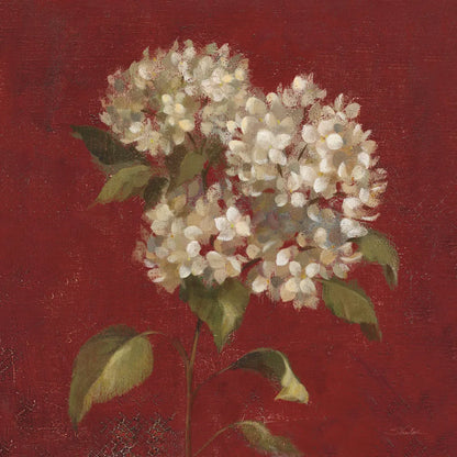 Hydrangea Blooms by Silvia Vassileva. SKU 60333a. Archival Giclee Fine art print for wall decor.