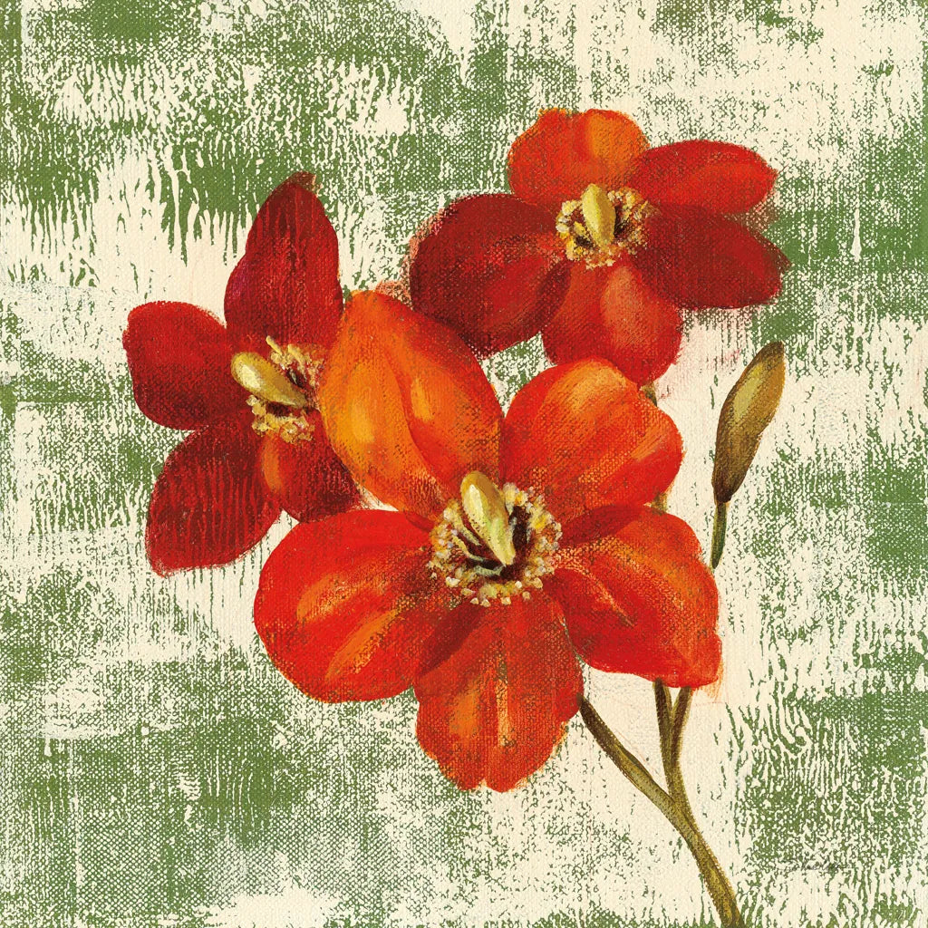 Jewel Flower V by Silvia Vassileva. SKU 61024a. Archival Giclee Fine art print for wall decor.