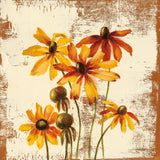 Jewel Flower X by Silvia Vassileva. SKU 61027a. Archival Giclee Fine art print for wall decor.