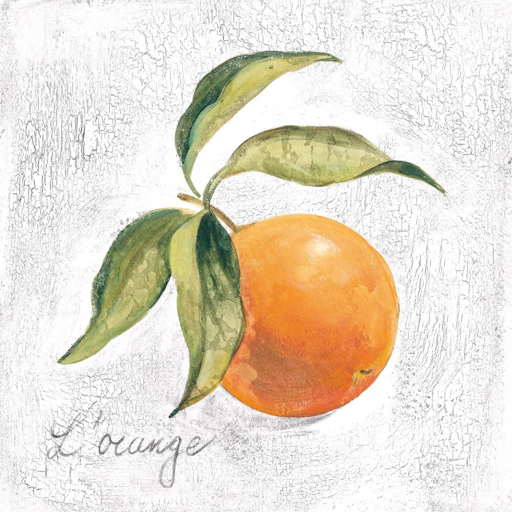 L Orange on White by Silvia Vassileva. SKU 51427a. Archival Giclee Fine art print for wall decor.