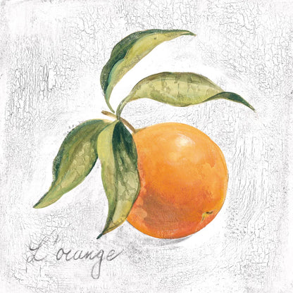 L Orange on White by Silvia Vassileva. SKU 51427a. Archival Giclee Fine art print for wall decor.