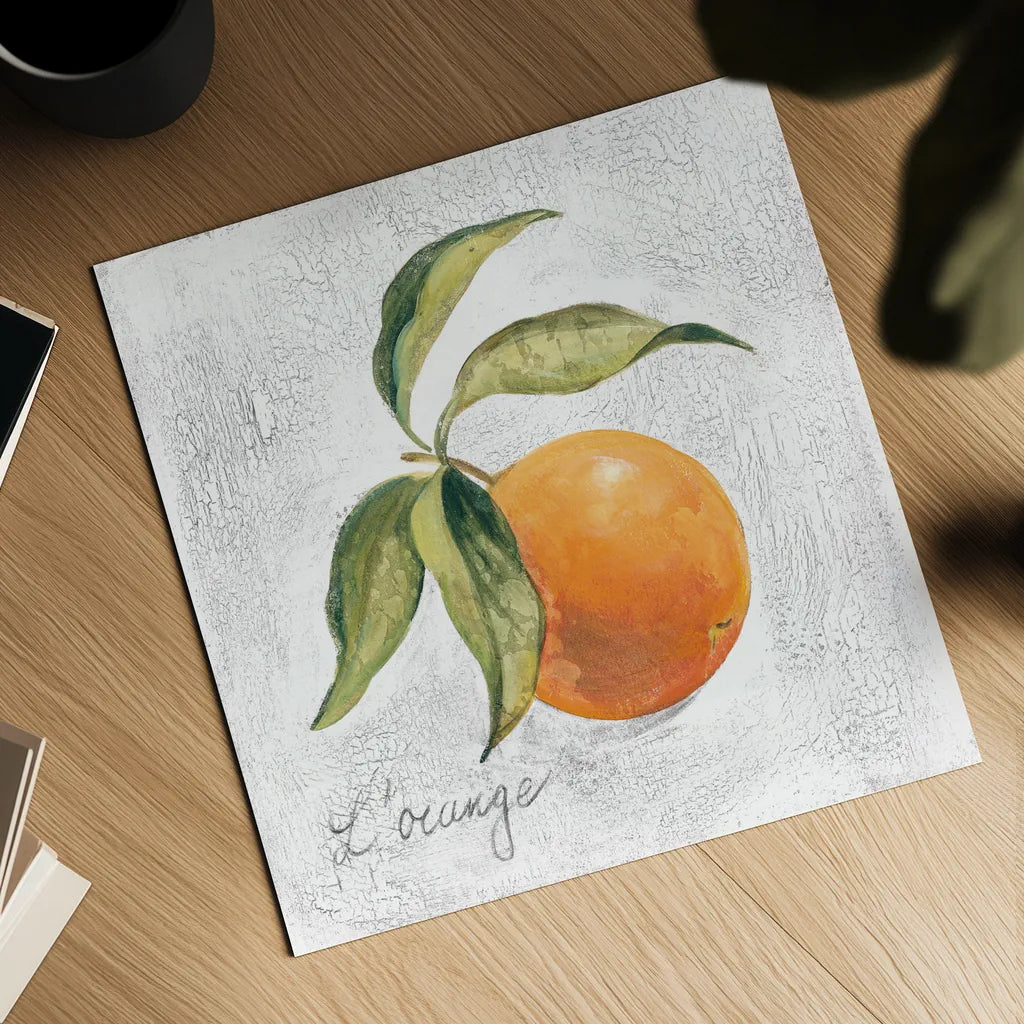 L Orange on White by Silvia Vassileva. Shown as a detailed flat fine art print, highlighting archival giclee quality. Available as an archival giclee rolled canvas, fine art paper, or poster print. SKU 51427a.
